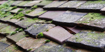 Seer Green roof repair costs